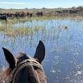 El Niño encendió las alarmas de la campaña agrícola