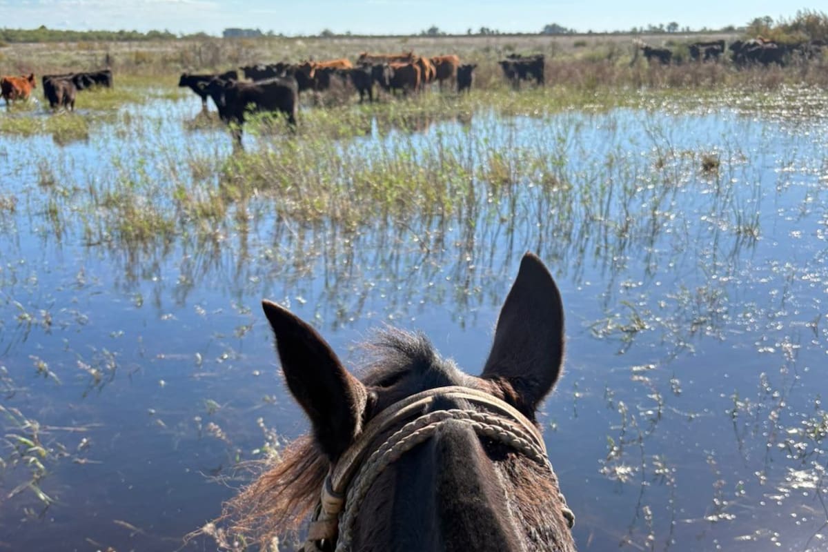 En zonas como Pehuajó ya se padeció el exceso de lluvias