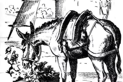 Encontra el rostro oculto en el lomo del caballo en menos de 7 segundos