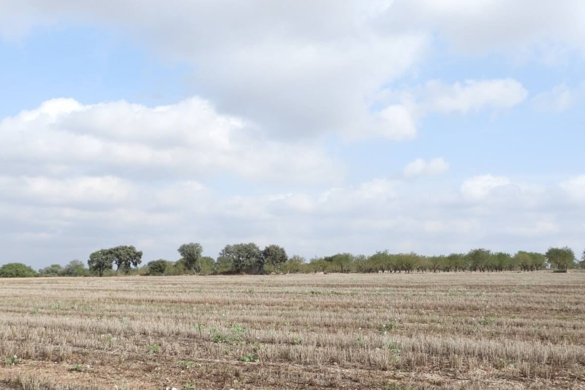 Encontrá la cabaña ubicada en el medio del campo en menos de 30 segundos