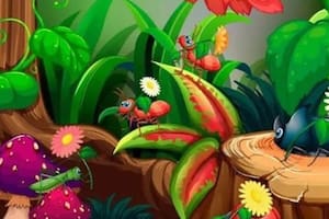 Desafío viral: encontrá las siete diferencias entre las plantas