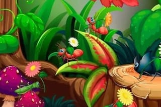 Desafío viral: encontrá las siete diferencias entre las plantas