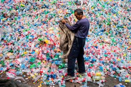 Encontrar cómo reciclar el plástico es un problema mundial; esta enzima permite descomponerlo en materiales simples