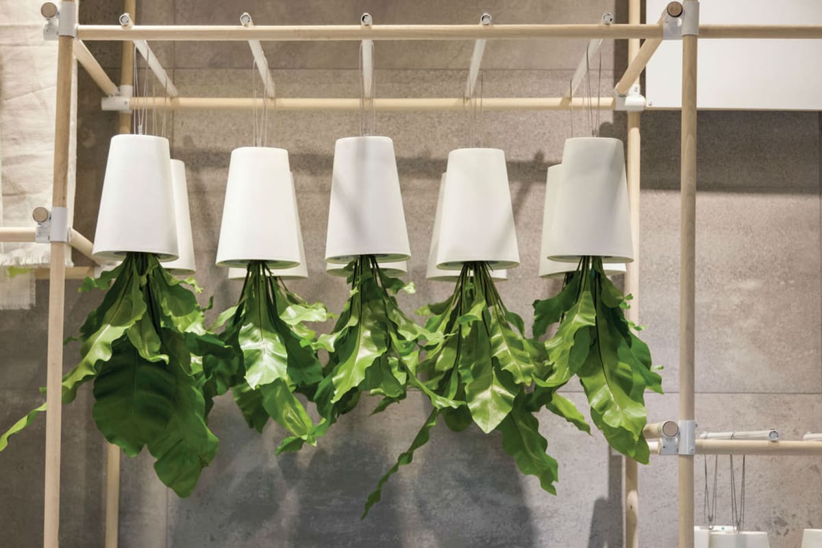 Encontrar el lugar indicado y llevar un poco de naturaleza dentro de casa, esa es la cuestión