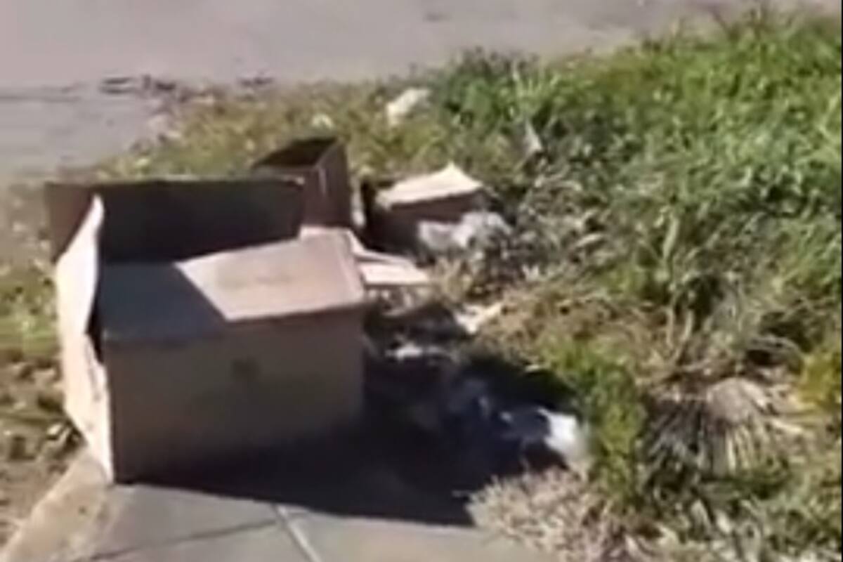 Encontraron cajas con restos de cabras y gallinas muertas en La Plata