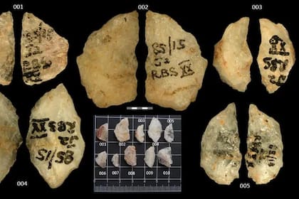 Encontraron cinco puntas de flecha de cuarzo en una cueva sudafricana que contenían un veneno de acción lenta. Fuente foto: Livescience