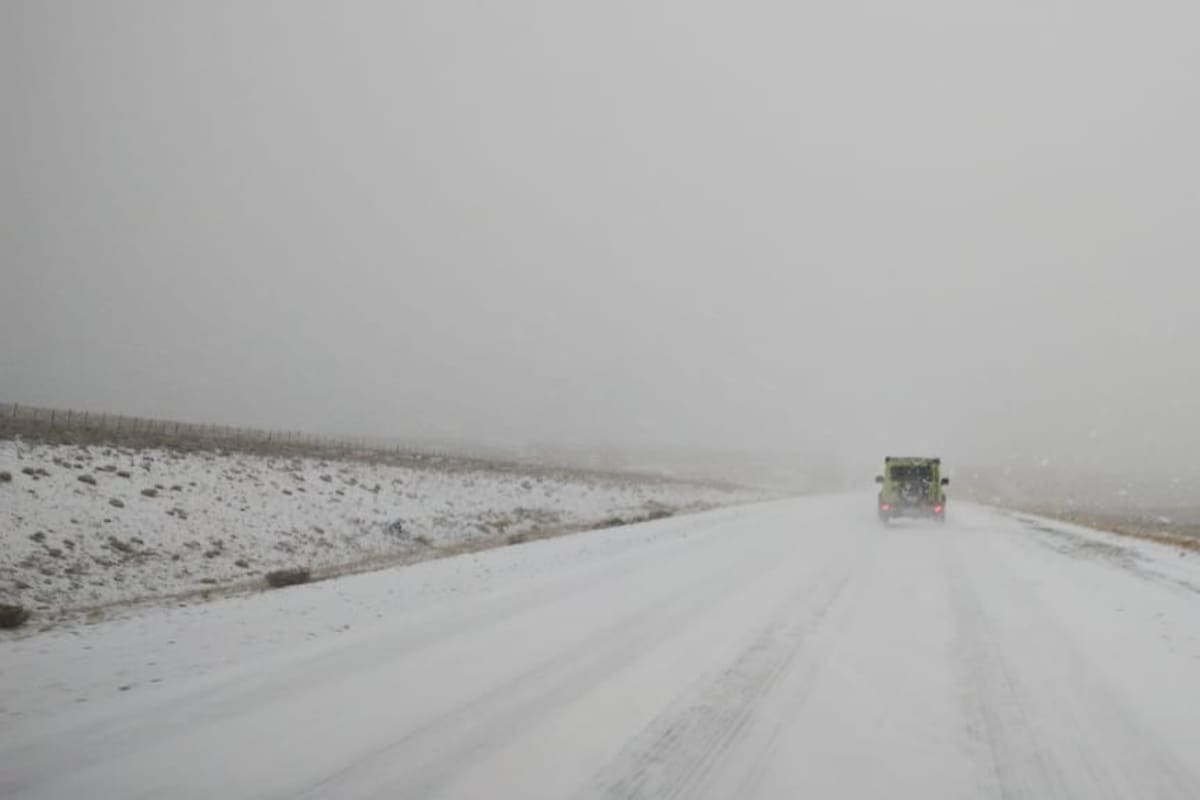 Encontraron el cuerpo de un hombre al costado de la Ruta N°9.