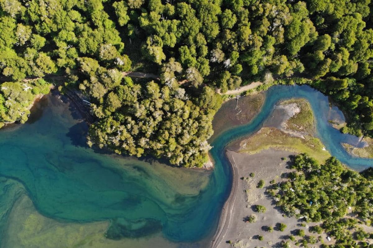 Encontraron en buen estado de salud al turista inglés desaparecido en el Parque Nacional Lanín