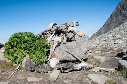 Encontraron que los cuerpos eran genéticamente diversos y que algunos habían muerto hasta 1.000 años después que otros de los que allí descansan