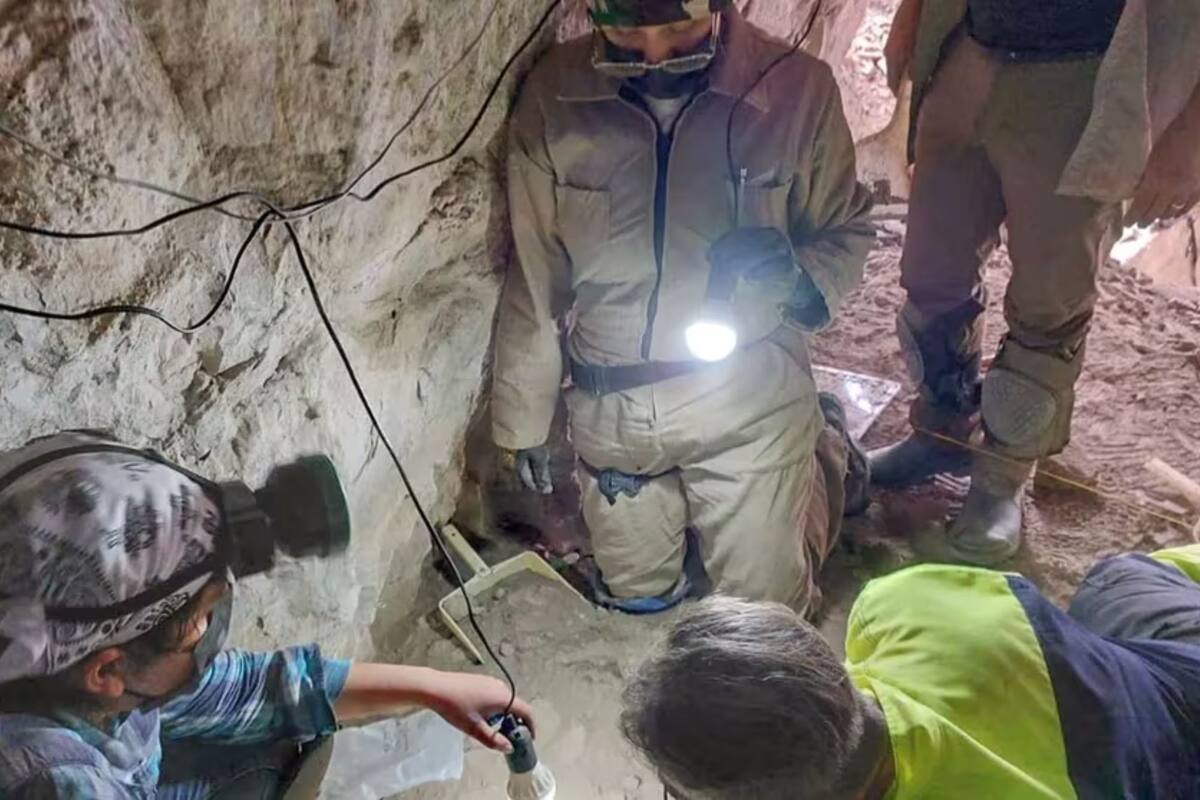 Encontraron restos de un bebé y dos adolescentes prehistóricos