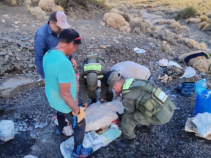 Encontraron restos fósiles en un campo en Neuquén y fueron enviados al Museo Carmen Funes, de Plaza Huincul, para su análisis