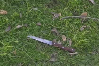 Se determinó que el cuchillo encontrado en la Plaza Sicilia fue el arma homicida