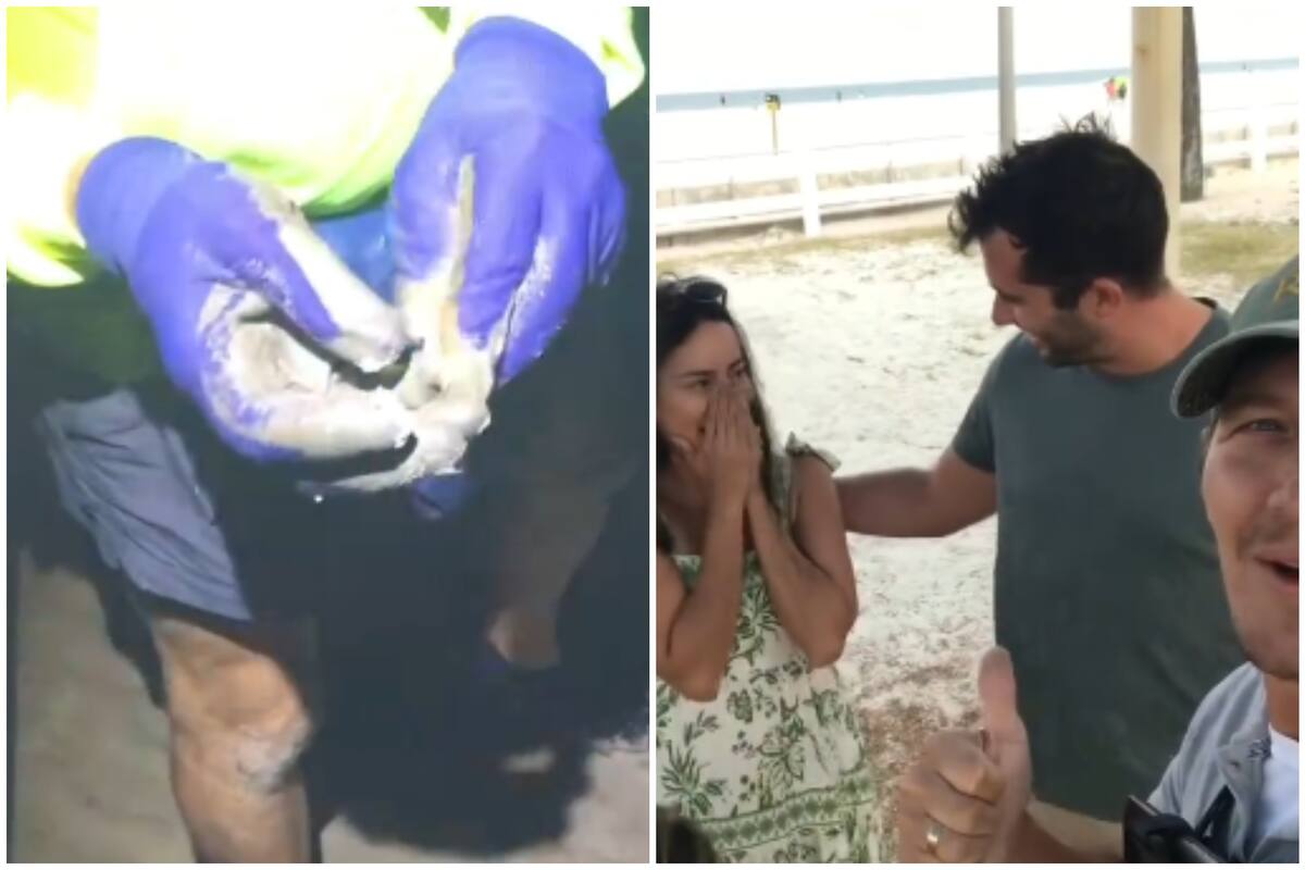 Encontró objetos valiosos de una pareja en una playa de Florida y decidió devolvérselos; esta fue su reacción