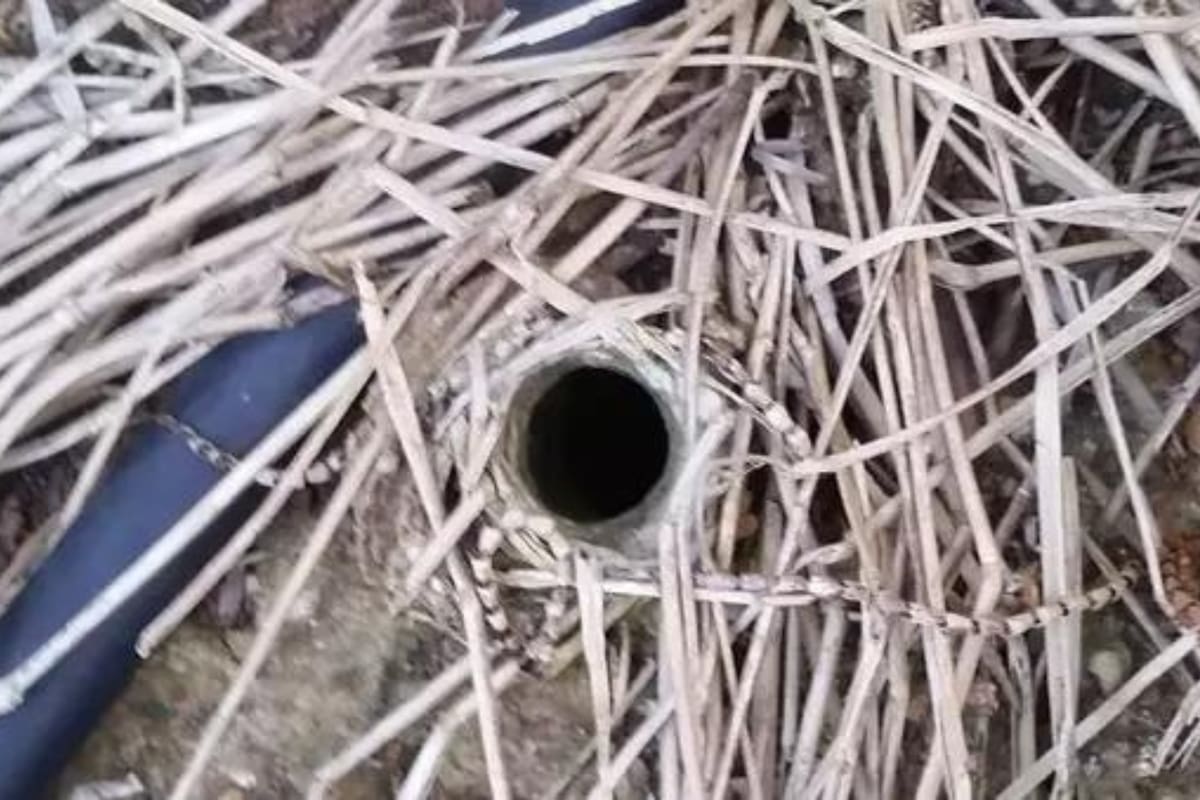 Encontró un agujero en su jardín y la respuesta sobre su origen lo horrorizó