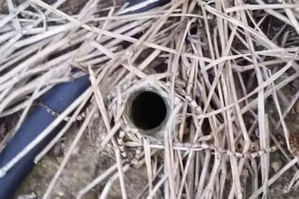 Encontró un agujero en su jardín y la respuesta sobre su origen lo horrorizó