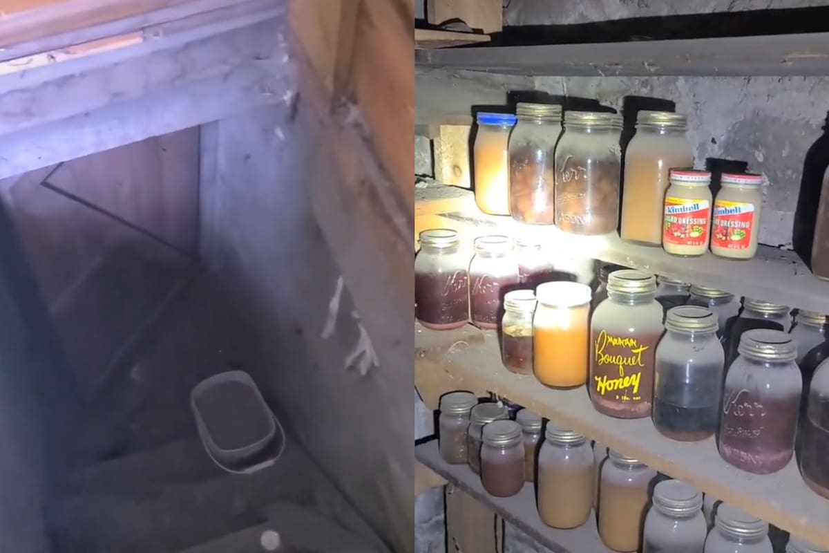 Encontró una vieja bodega oculta bajo una alfombra y al entrar, halló una gran cantidad de alimentos envasados en frascos y latas cubiertos de polvo