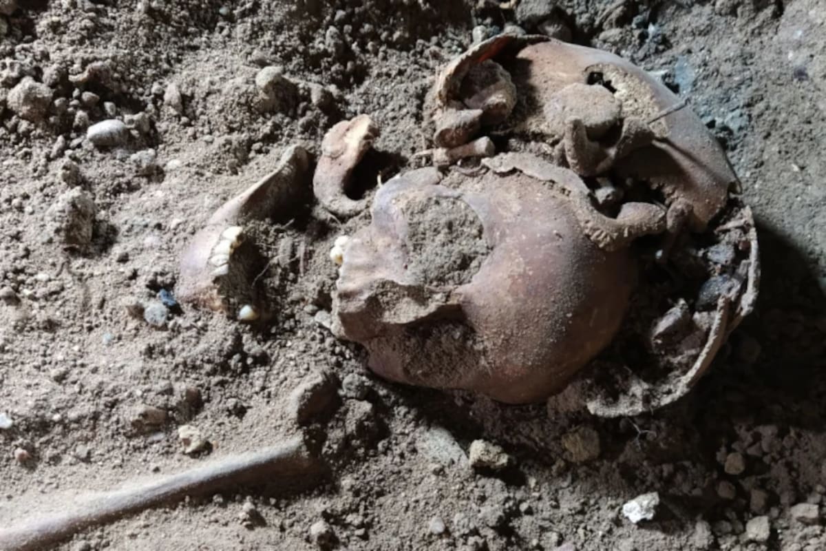 Encuentran cinco esqueletos en la casa del lider nazi Hermann Göring
CNN