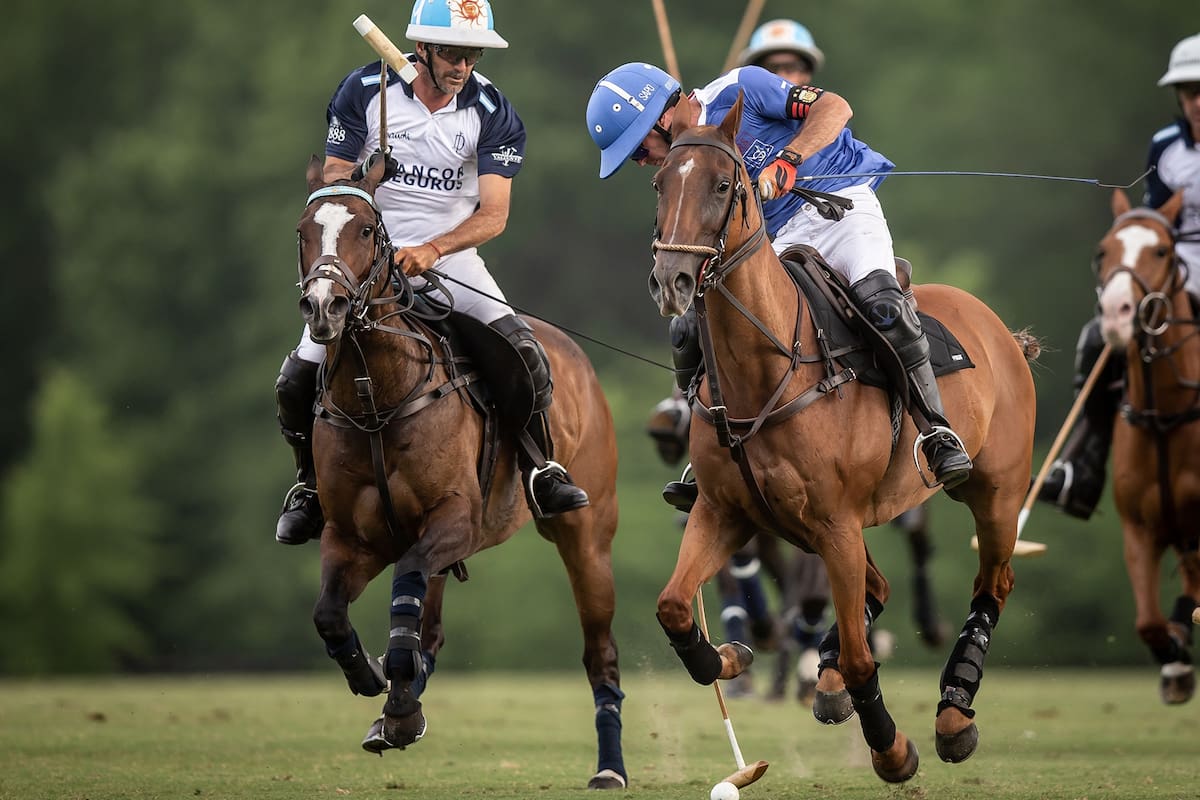 Encuentro entre Dolfina vs. Murus Sanctus