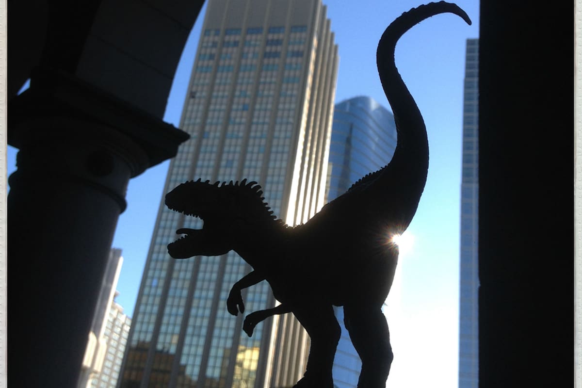 Encuentros cercanos con animales de otras épocas