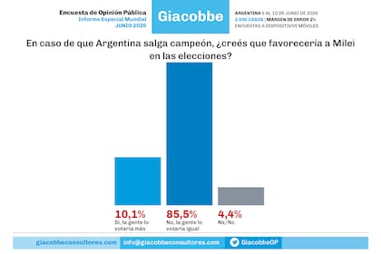 Encuesta: la mayoría le quita una connotación electoral al resultado en el Mundial