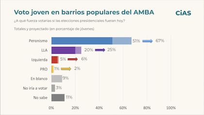 Encuesta: voto joven de barrios populares del AMBA
