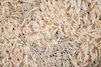 Endo y sus colegas encontraron lo que tanto buscaban en el arroz.