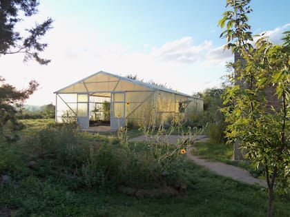 Enfocado en arbustos y árboles, el vivero Renovales comenzó a sumar herbáceas y gramíneas.