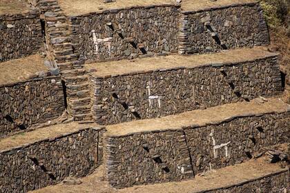 Enigmáticas figuras de llamas hechas con cuarzos blancos en el sector de terrazas ornamentales. Foto: Luis Agote