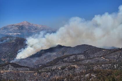 Enormes incendios forestales en Siria quedan controlados tras días de intensos esfuerzos