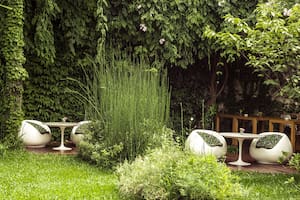 Enredaderas, palos borrachos y mesitas: el hotel boutique Home invita a entregarse a la conversación en un espacio repleto de vegetación.