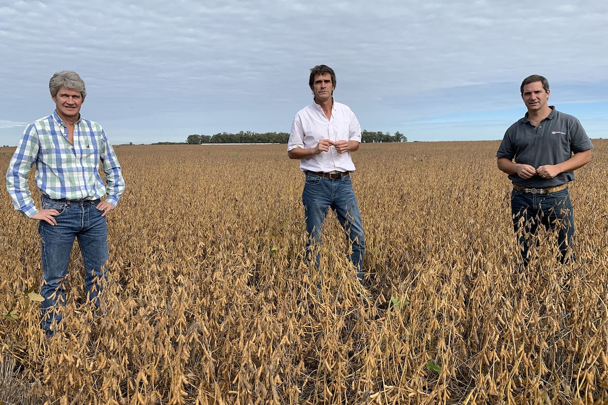Enrique Bayá Casal, Luis Dillon y Tomás Urien
