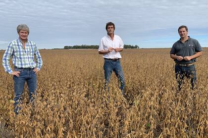 Enrique Bayá Casal, Luis Dillon y Tomás Urien