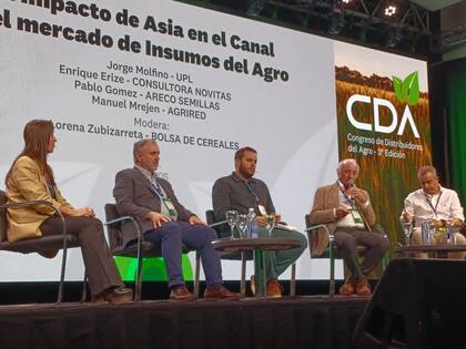 Enrique Erize, presidente de la consultora Nóvitas, habla en el congreso