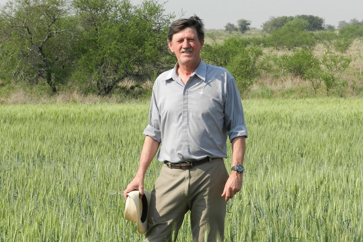 Enrique Figueroa, uno de los técnicos que impulsan el cultivo