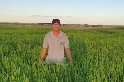 Enrique García, productor arrocero en Entre Ríos