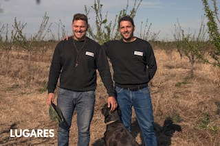 Dos hermanos se animaron a plantar almendros en un campo ganadero del norte cordobés