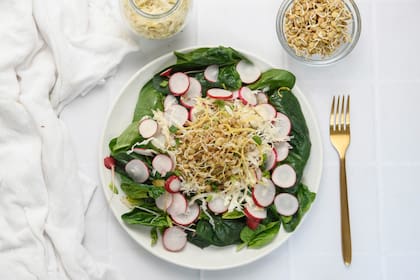 Ensalada de lentejas germinadas con chucrut