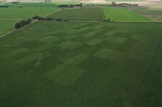 La agricultura de precisión es una aliada estratégica de la nutrición de los cultivos