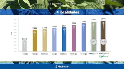 Ensayos realizados en cuatro localidades registraron rendimientos de hasta 2569 kilos por hectárea con tratamientos de inoculación múltiple.