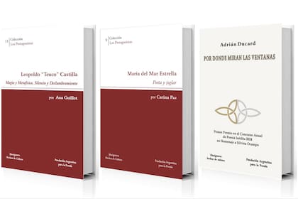Ensayos sobre grandes poetas y el título ganador del Concurso Anual de Poesía Inédita 2024 “Homenaje a Silvina Ocampo”