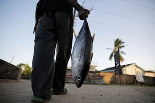 Entra en vigor el acuerdo global de la OMC para reducir la sobrepesca