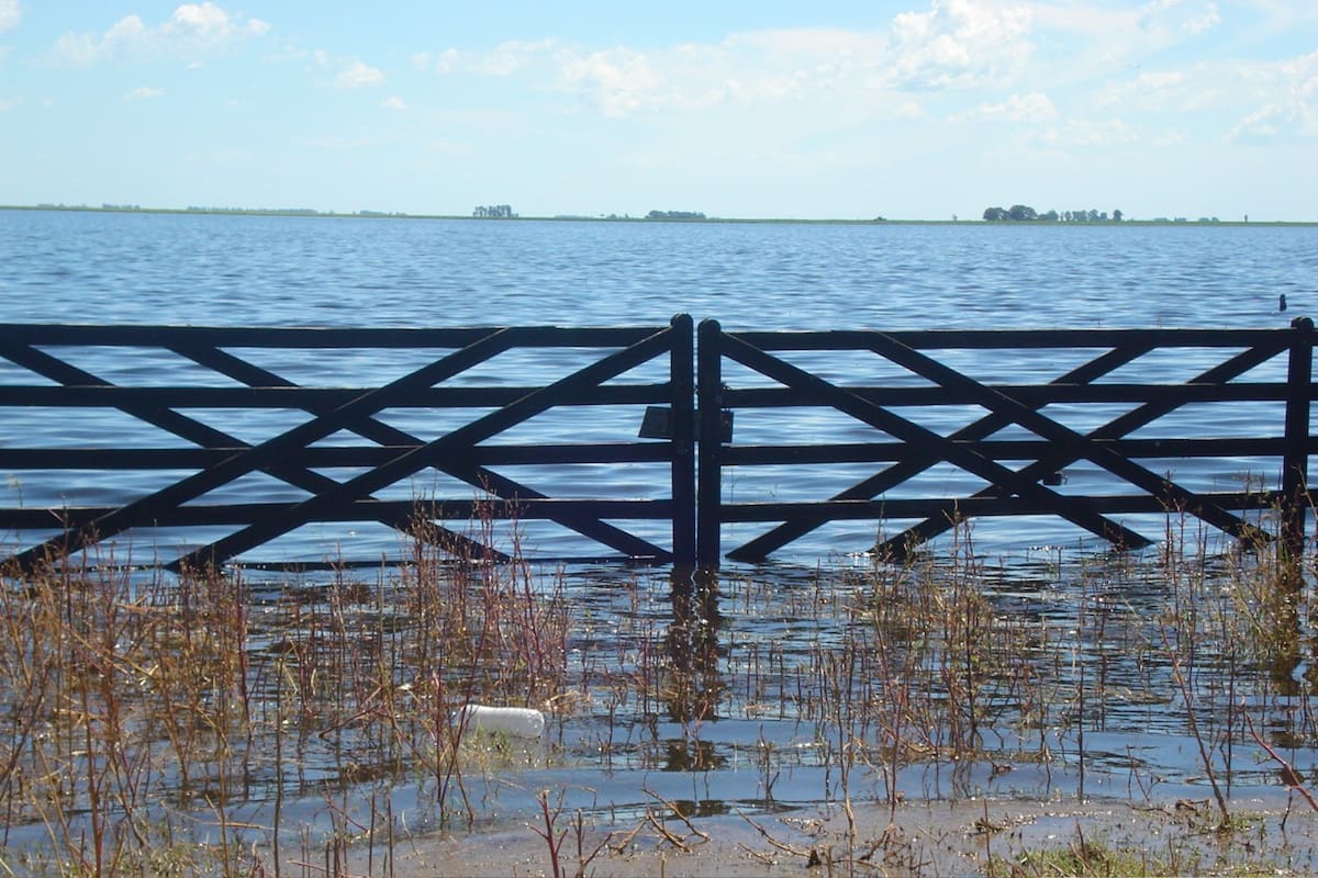 Entrada a la parcela