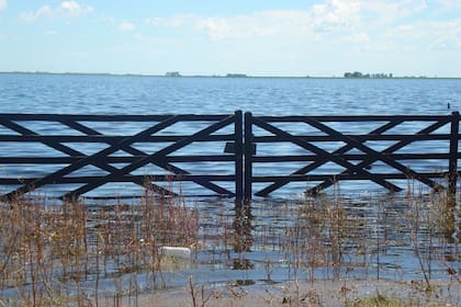 Entrada a la parcela