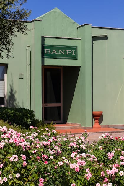 Entrada a la bodega