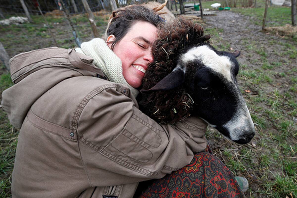 Entrar en contacto con los animales en ese entorno natural lejos del bombardeo informativo, mascarillas y restricciones, de alguna manera, sana a los visitantes