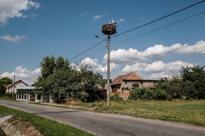 Entre 2009 y 2020 hubo 12 nacimientos en Miejsce Odrzańskie, una pequeña aldea rural del sur de Polonia. Todas fueran niñas