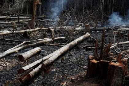 Entre enero y agosto de 2019, el número de incendios forestales en Brasil aumentó casi un 83% respecto al mismo periodo del año pasado.