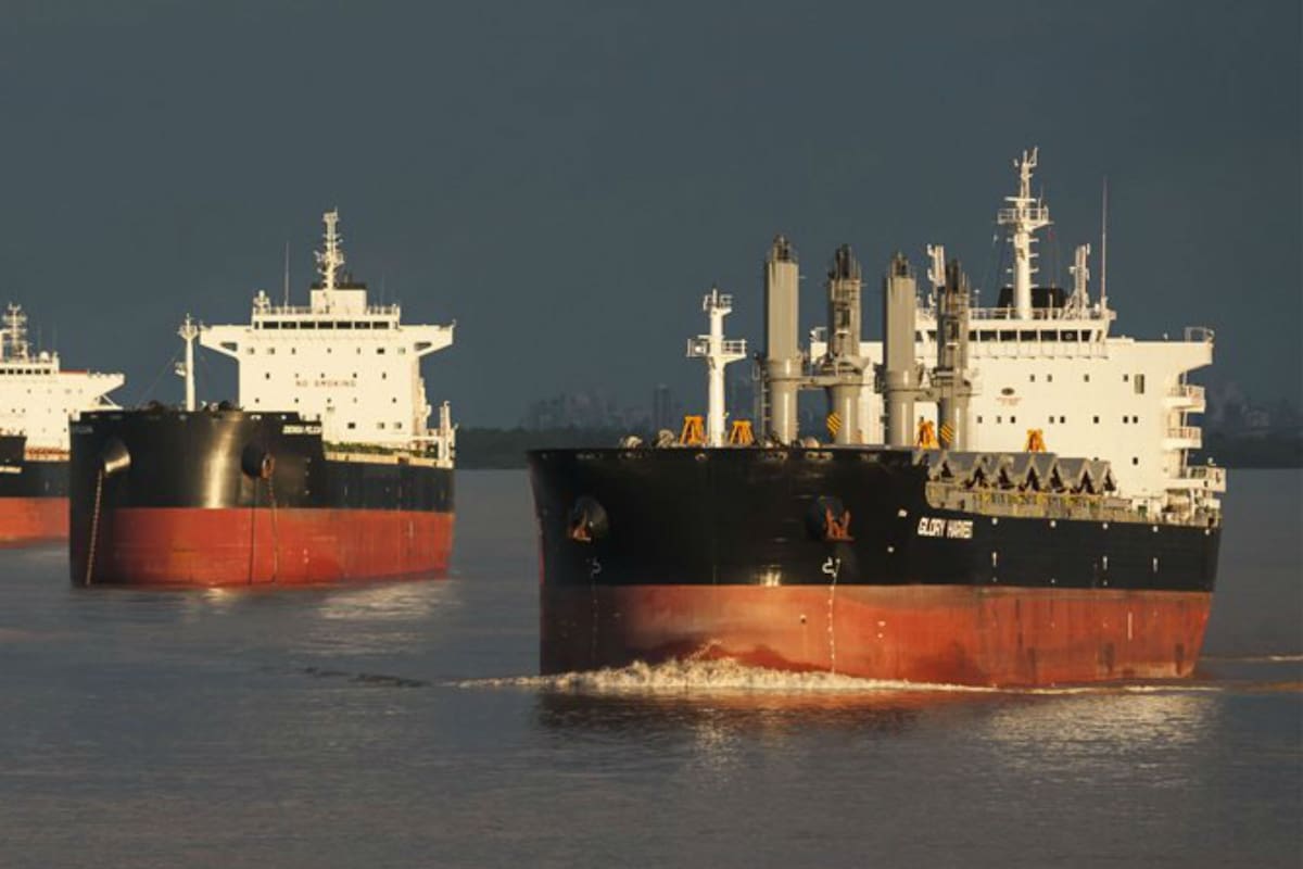 Entre enero y noviembre ingresaron divisas por US$19.179 millones