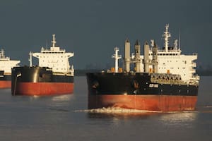 Entre enero y noviembre ingresaron divisas por US$19.179 millones