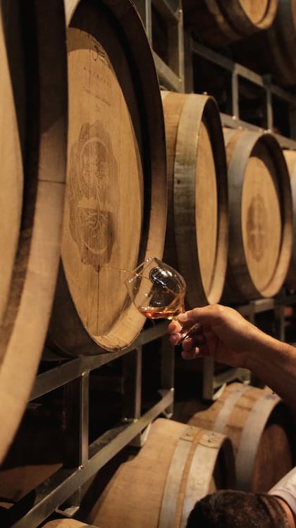 Entre esos reconocimientos está la medalla de plata obtenida en la World Beer Cup 2026 por Paradoja Nocturna, una cerveza añejada en barricas de Malbec argentino